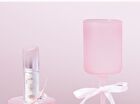 Ballet Style Mirror Lipstick - 6 Colors - 103# Apricot Chestnut - 3.6g