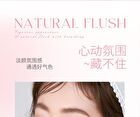 Bowknot Watery Liquid Blush - 4 Colors - 102# Smoky Pink - 2.8g