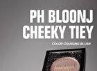 Temperature Variation Shimmer Cream Blusher - 3 Colors - 02# Pink- 5g