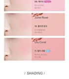 NEW Last Blush - 15 Colors - #12 Grayish