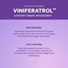 Vinoberry Bakuchi-oil Firming Ampoule - 30ml