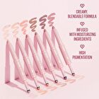 Wink Dazzle - 4 Types - #04 Mauve Mirage