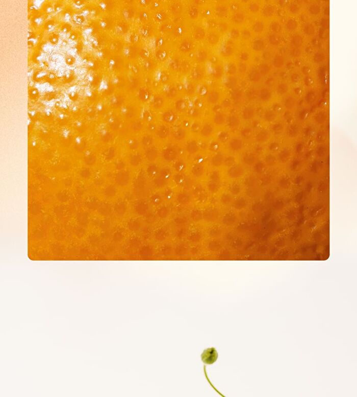 Black Rouge Double Layer Over Velvet Sweet Tangerine Edition - 9 Colors - DL25 Pure Pomelo