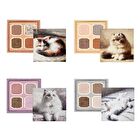 My Kitty Eyeshadow Palette - 07 American Shorthair