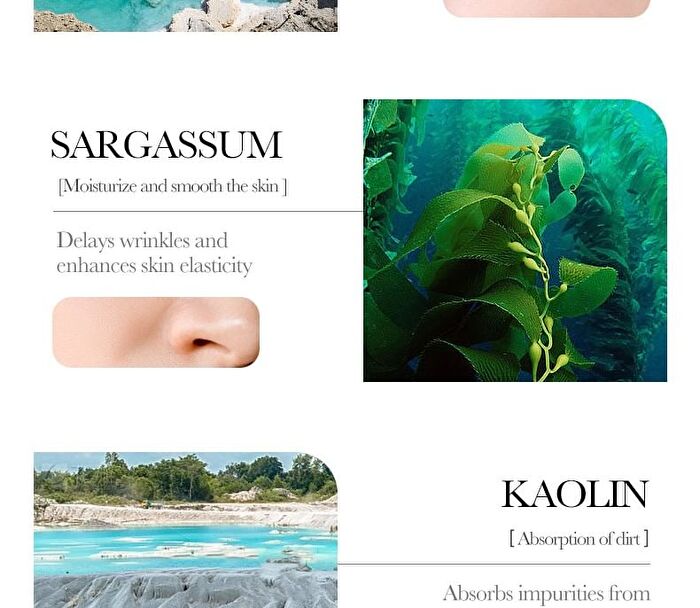 Bioaqua Dead Sea Mud Whitening Mud Mask - #Dead Sea Mud - 1pc