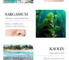 Bioaqua Dead Sea Mud Whitening Mud Mask - #Dead Sea Mud - 1pc
