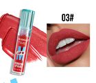 Hydrating Lip Gloss - 6 Colors - #02
