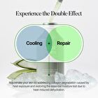 Aloe PDRN Cooling Repair Ampoule - 50ml