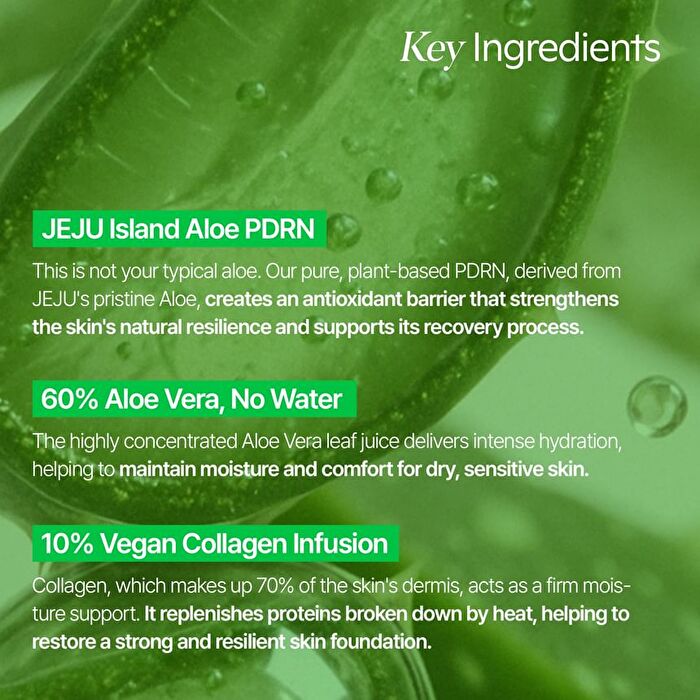 Aloe PDRN Cooling Repair Ampoule - 50ml