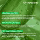 Aloe PDRN Cooling Repair Ampoule - 50ml