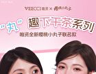 Veecci Dual-Ended Gel Eyeliner Chibi Maruko Chan Edition - 2 Colors - Y01# Classic Brown - 60mg