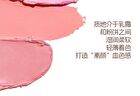 Veecci Touch Cushion Blush Chibi Maruko Chan Edition - 6 Colors - M02# Cream Apricot - 3g