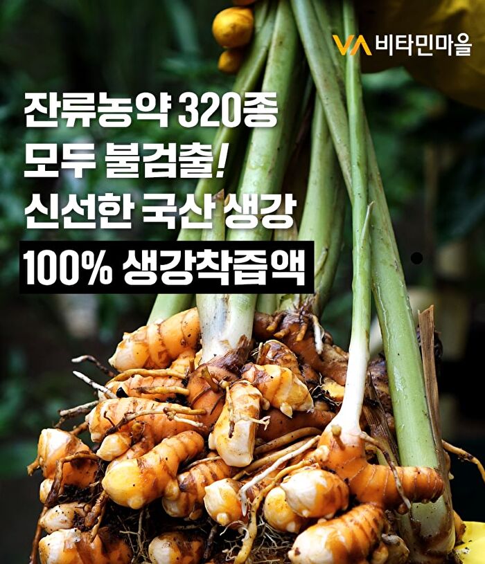 Ginger Shot Golden Recipe - 20g x 14 sticks