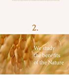 I\'m from All About Rice Kit - 7 pcs