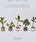 I\'m from All About Rice Kit - 7 pcs