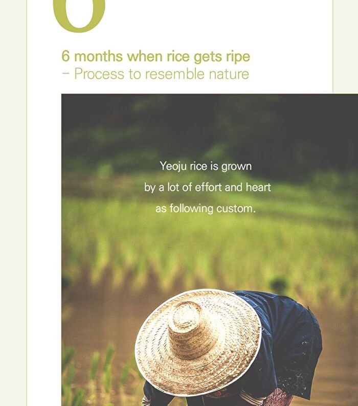 I\'m from All About Rice Kit - 7 pcs
