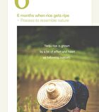 I\'m from All About Rice Kit - 7 pcs