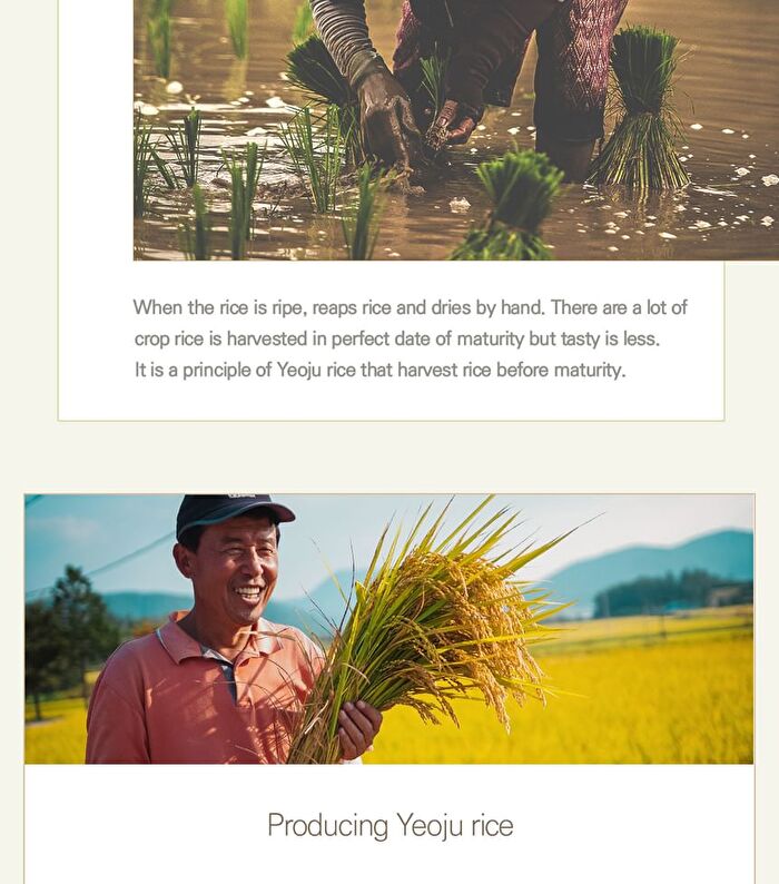 I\'m from All About Rice Kit - 7 pcs