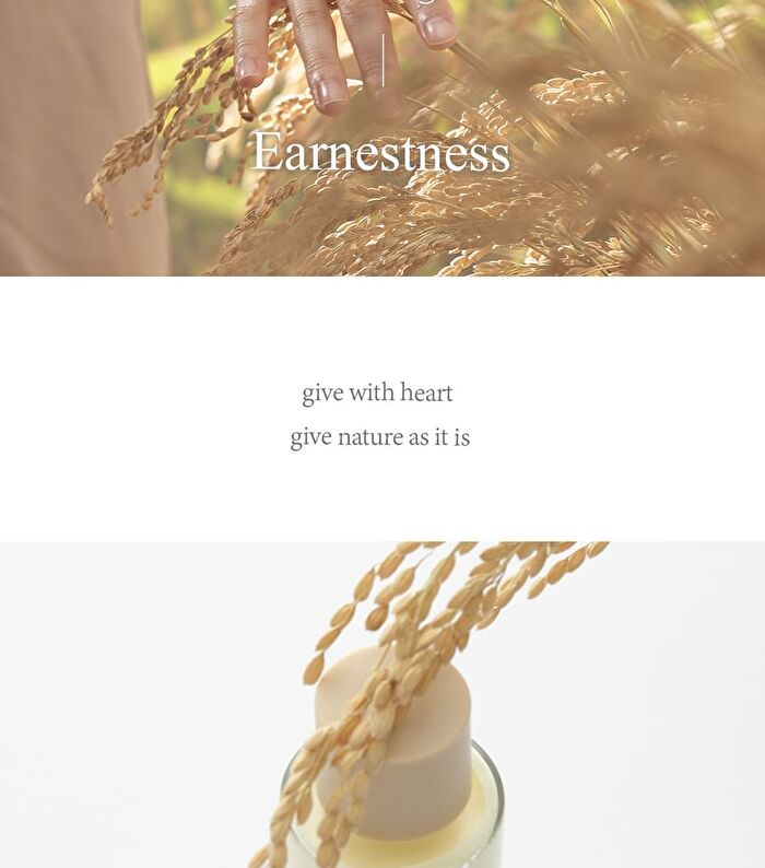 I\'m from All About Rice Kit - 7 pcs