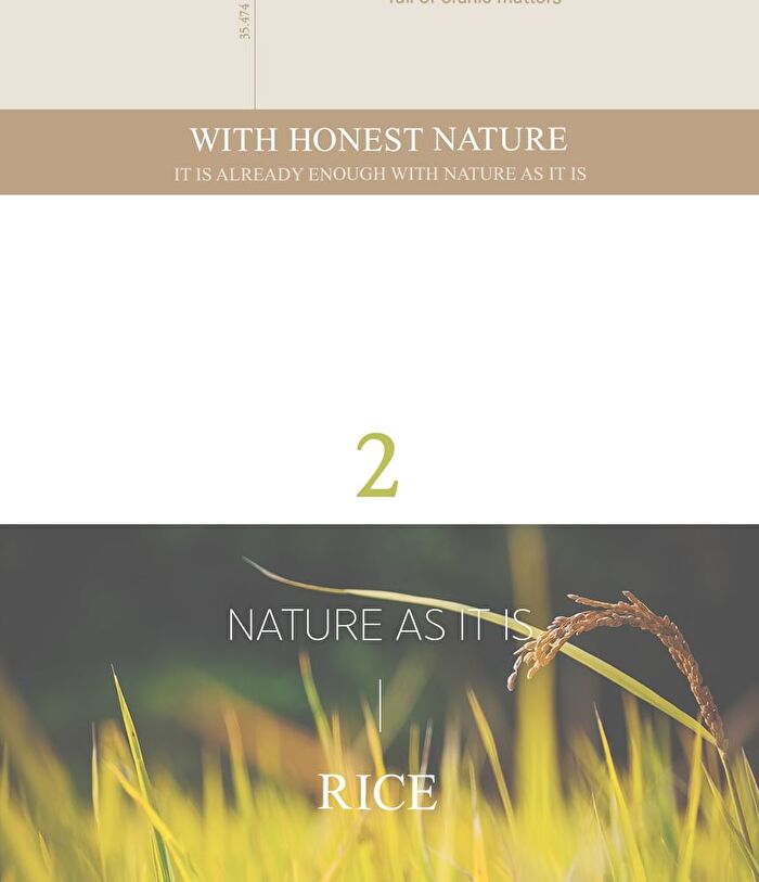 I\'m from All About Rice Kit - 7 pcs