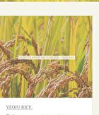 I\'m from All About Rice Kit - 7 pcs