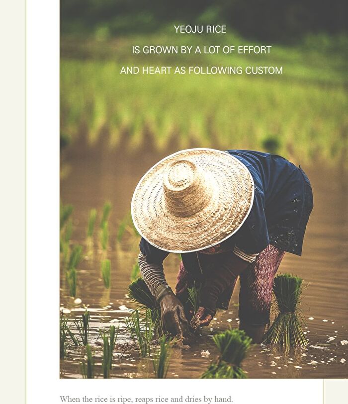 I\'m from All About Rice Kit - 7 pcs