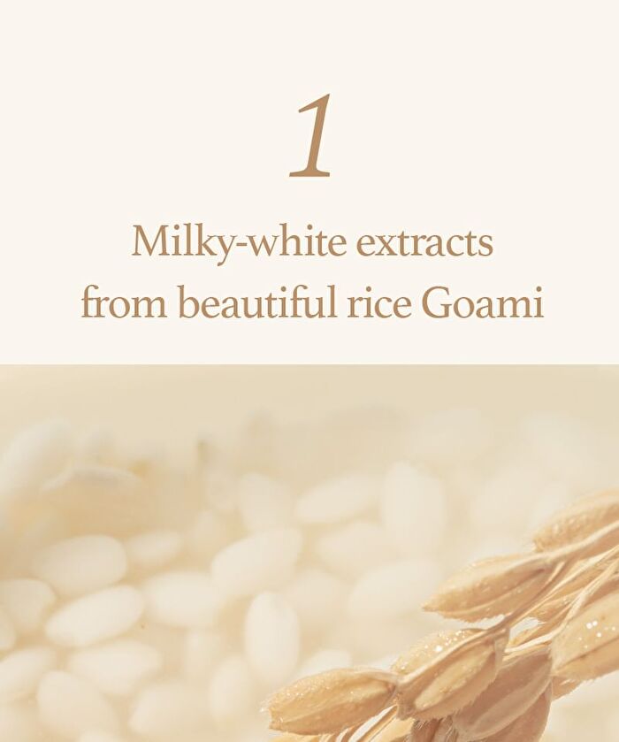 I\'m from All About Rice Kit - 7 pcs