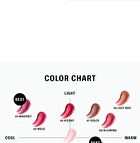 Braye Melting Lipsweet - 10 Colors - #04 Mauvrit