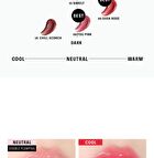 Braye Melting Lipsweet - 10 Colors - #04 Mauvrit