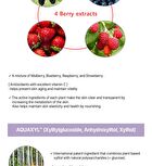 Botanity Agingment Ampoule Serum - 30ml