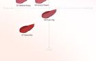 Spread Fit Blur Tint - 8 Colors - #06 Peach Pitch