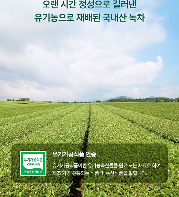 Clean Jeju Island Organic Green Tea Powder - 40g