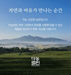 Clean Jeju Island Green Tea Powder - 500g