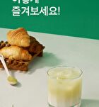 Clean Jeju Island Green Tea Powder - 500g