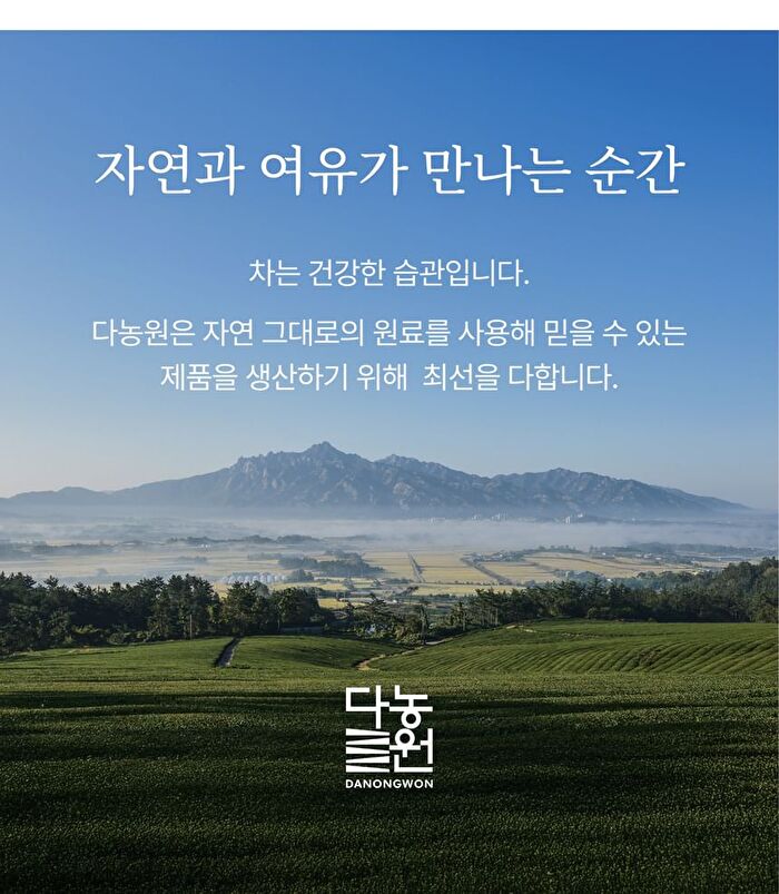 Clean Jeju Island Premium Green Tea Powder - 500g