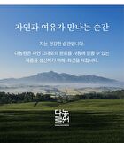 Clean Jeju Island Premium Green Tea Powder - 500g