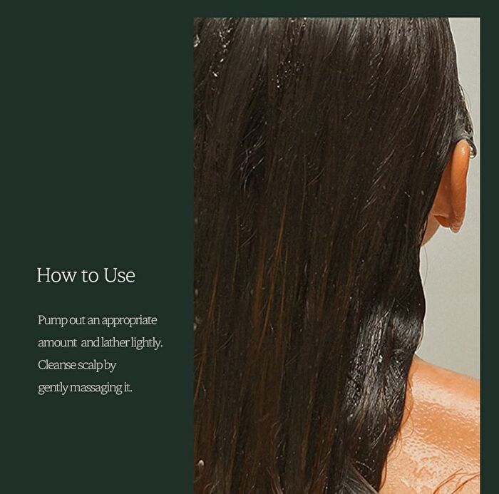 Nard Cooling Hair Loss Care Shampoo - 500ml