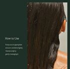 Nard Cooling Hair Loss Care Shampoo - 500ml