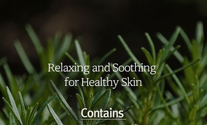Nard Tea Tree Calming Moisture Mask Pack Set - 23ml x 30 sheets