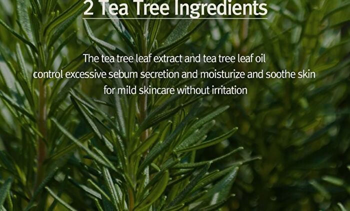 Nard Tea Tree Calming Moisture Mask Pack Set - 23ml x 30 sheets