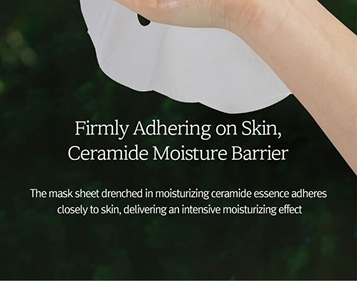Nard Tea Tree Calming Moisture Mask Pack Set - 23ml x 30 sheets