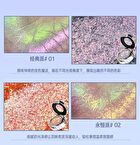 Carnival Party Series Chameleon Single Eyeshadow - 5 Colors - #05 Eternal - 1.5g