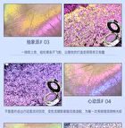 Carnival Party Series Chameleon Single Eyeshadow - 5 Colors - #05 Eternal - 1.5g