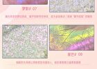 Magical Chameleon Single Eyeshadow - 8 Colors - #03 Peach Pink - 1.8g