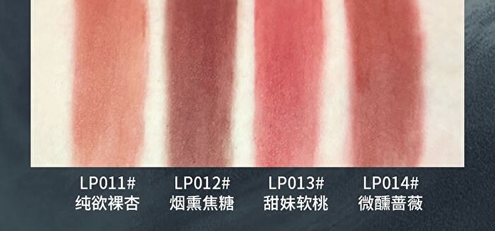Rozo Soft Focus Matte Lip Mud - 4 Colors - LP011# Nude Apricot - 2.8g