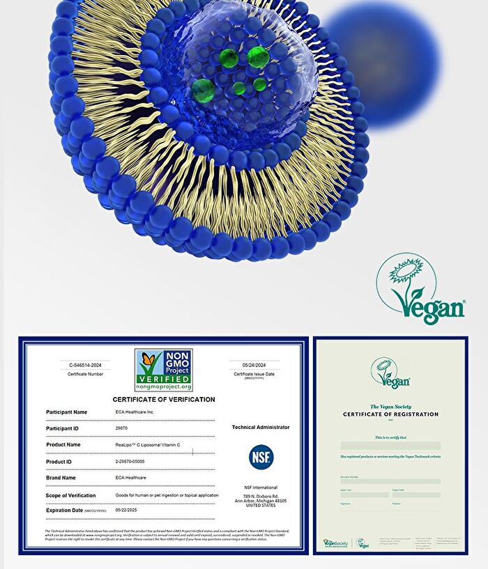 Premium Mega-C Liposomal Vitamin C - 2025 Version - 1100mg x 30 tablets