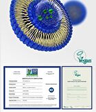 Premium Mega-C Liposomal Vitamin C - 2025 Version - 1100mg x 30 tablets