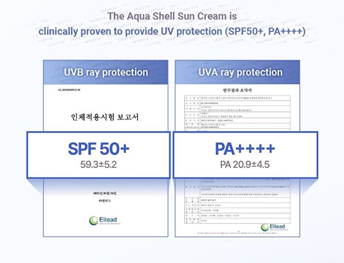 dasique Aqua Shell Sun Cream - 50ml