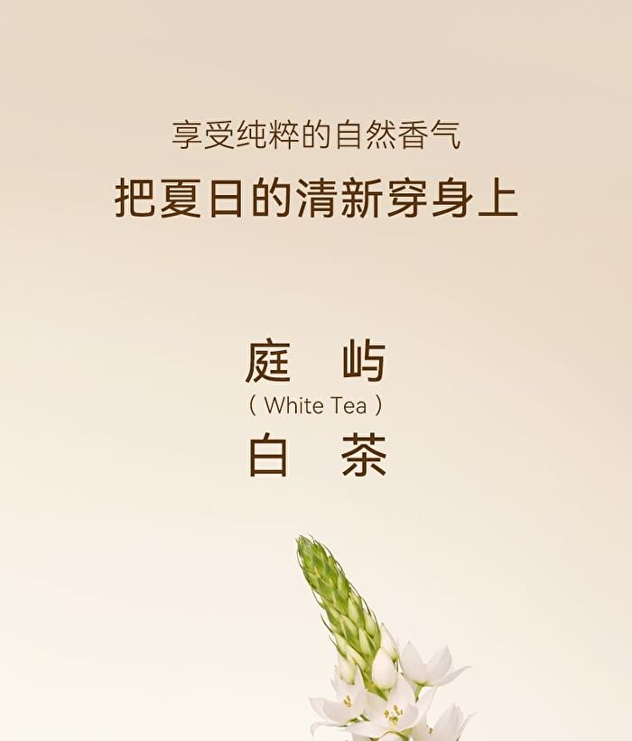 Watercome Niacinamide Fragrance Scrub Cream - White Tea - 180g