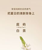 Watercome Niacinamide Fragrance Scrub Cream - White Tea - 180g